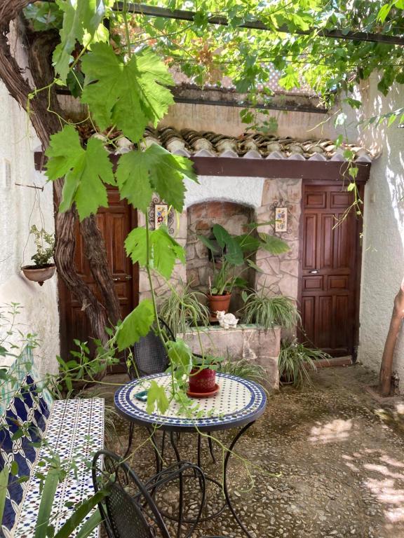 a table with a potted plant on it in a garden at Patio Granada in Granada