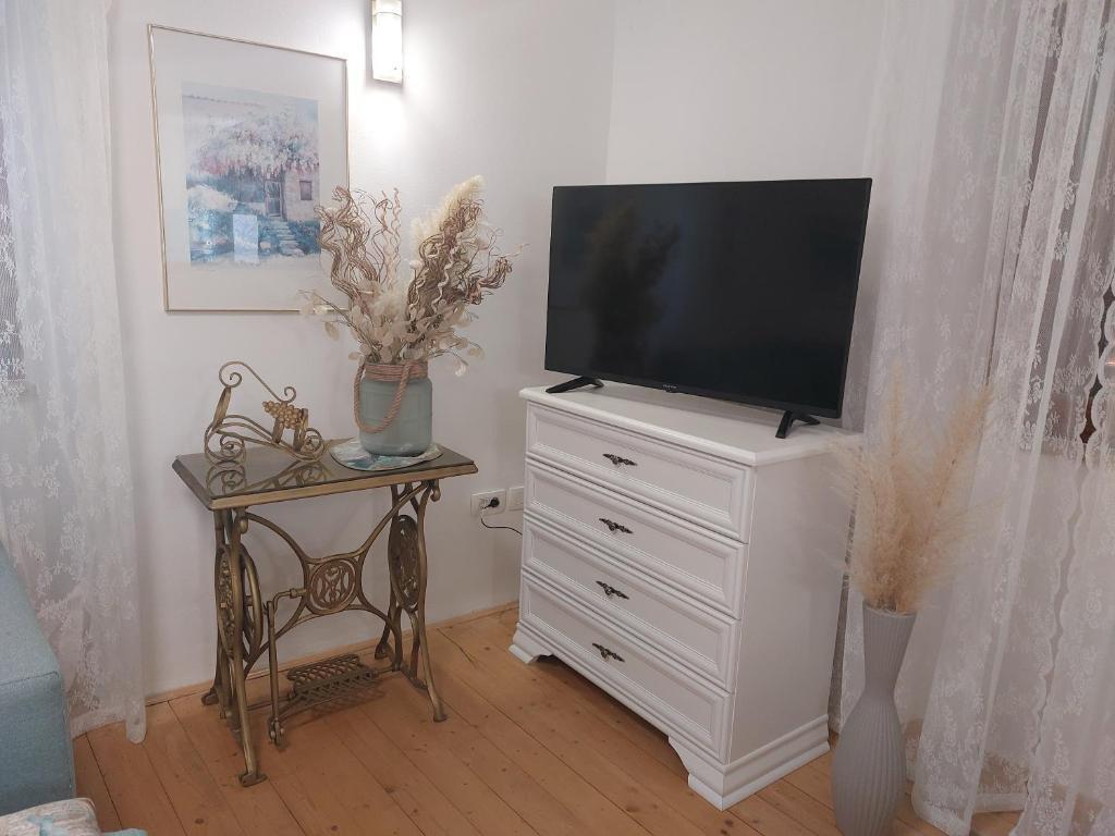 TV a/nebo společenská místnost v ubytování Apartment Bellavista