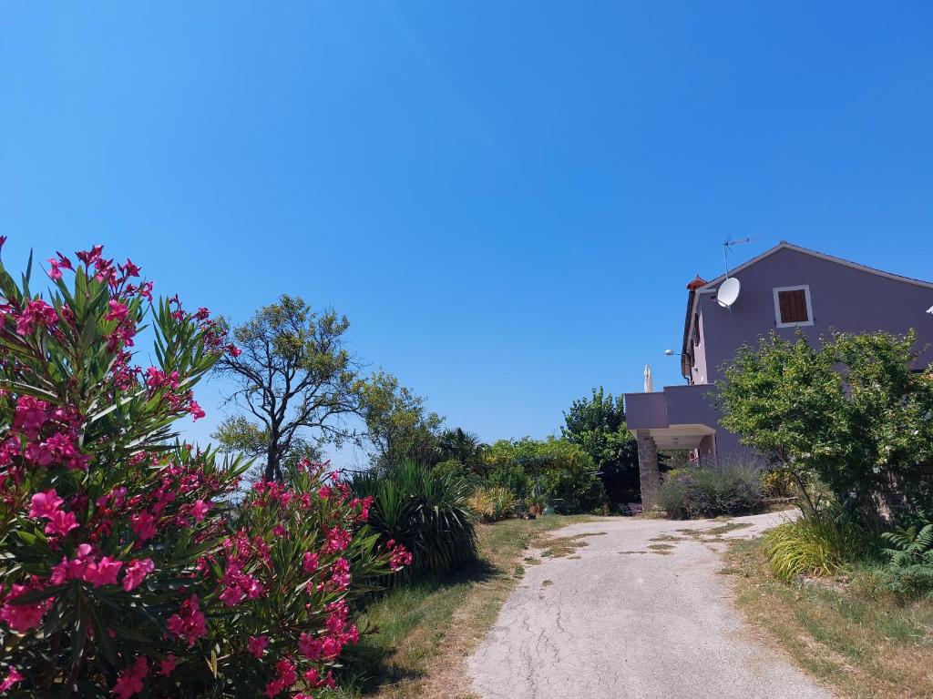 Příroda nedaleko apartmánu