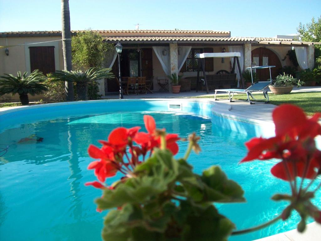 a blue swimming pool with a red flower in the foreground at Villa Orchidea in Marzamemi