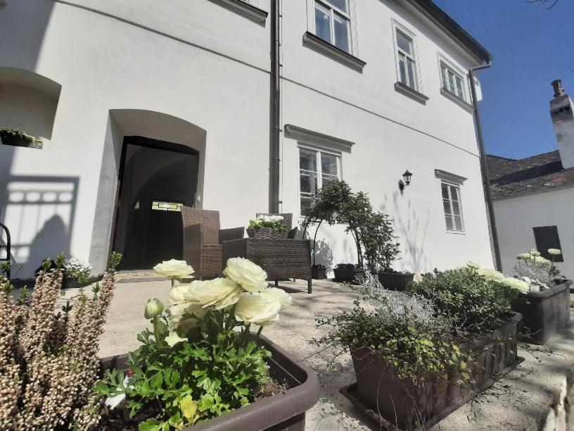 Zahrada ubytování Apartmány VIENNA