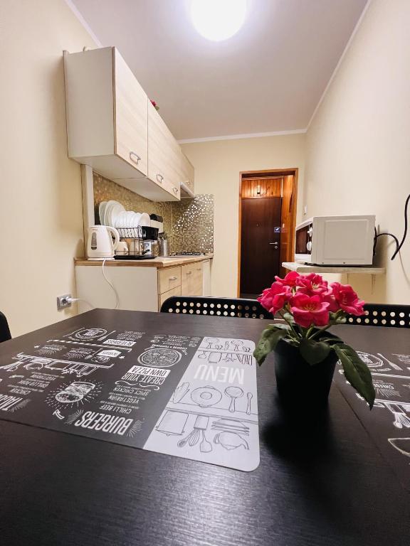 Kuchyňa alebo kuchynka v ubytovaní Apart Rooms City Centre