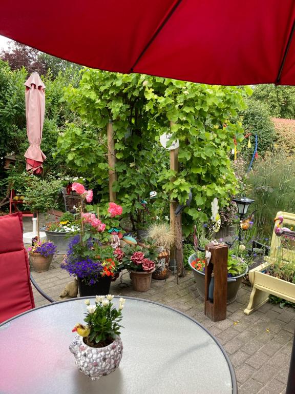 Zahrada ubytování Ferienwohnung am Siel