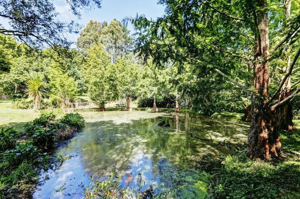 a pond in the middle of a park with trees at Peaceful cottage in beautiful landscaped native bush gully in Tamahere