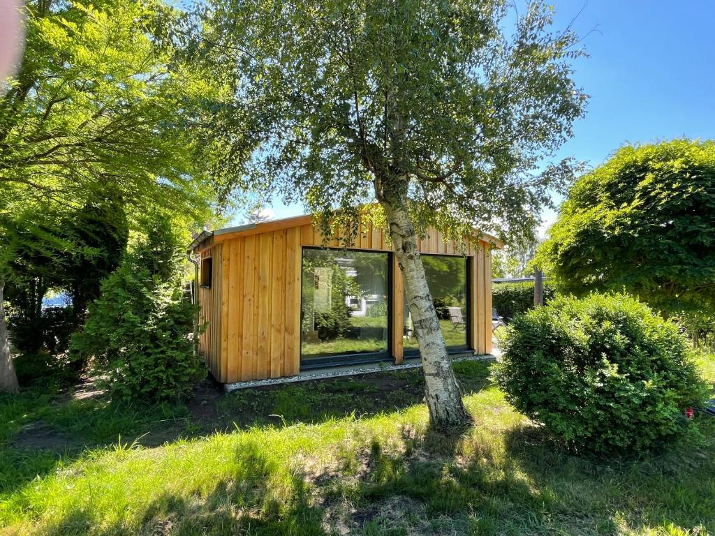 eine kleine Holzhütte mit einem Baum im Hof in der Unterkunft Ferienhaus Aalglatt am Deich, 250 m zum Strand in Dierhagen
