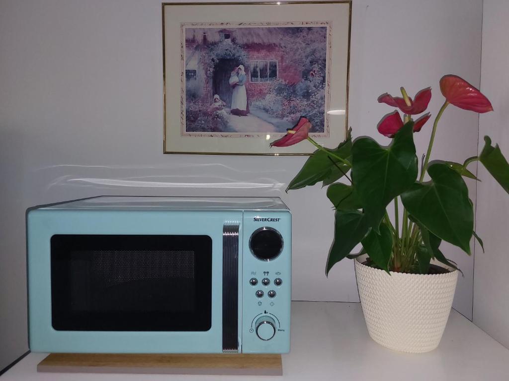 TV a/nebo společenská místnost v ubytování Apartment Bellavista