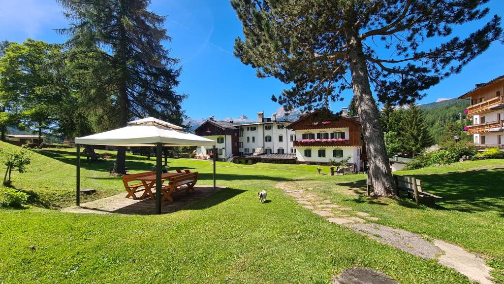 un parc avec un banc, un parasol et un chien dans l'établissement Hotel Menardi, à Cortina dʼAmpezzo