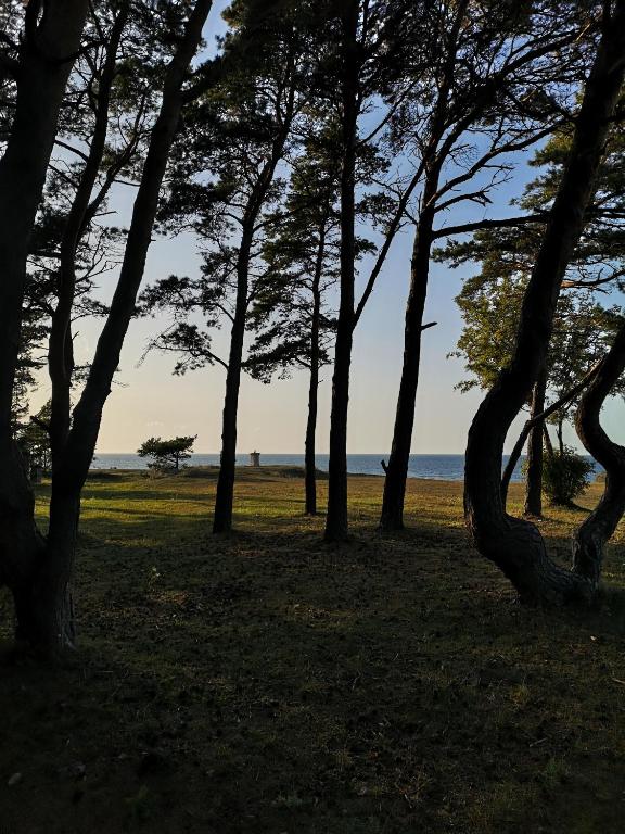 Loodusmaastik villa lähedal