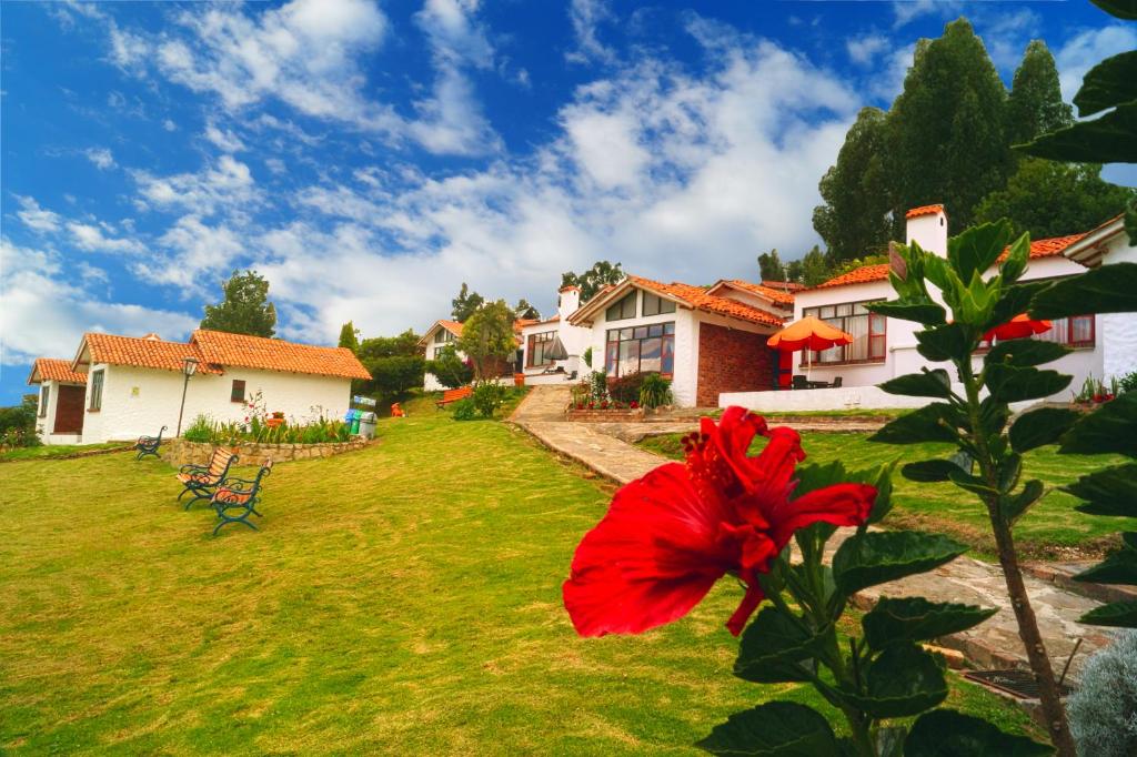 a red flower in front of a house at Hotel Cabañas San Cayetano in Paipa