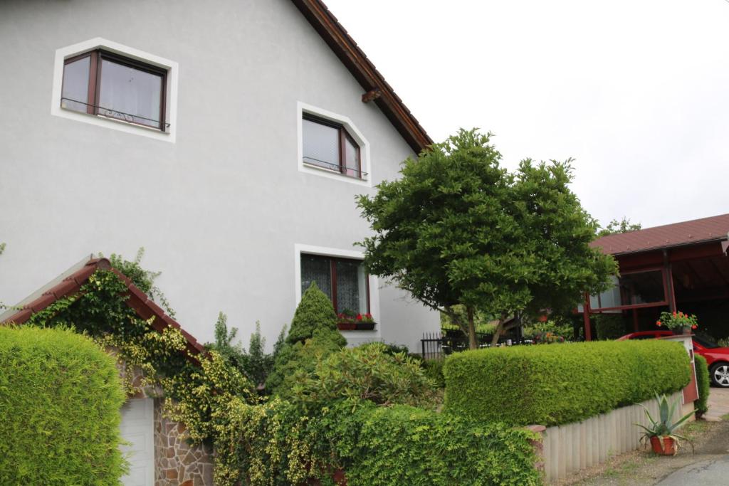 Zahrada ubytování Apartmán u Míši
