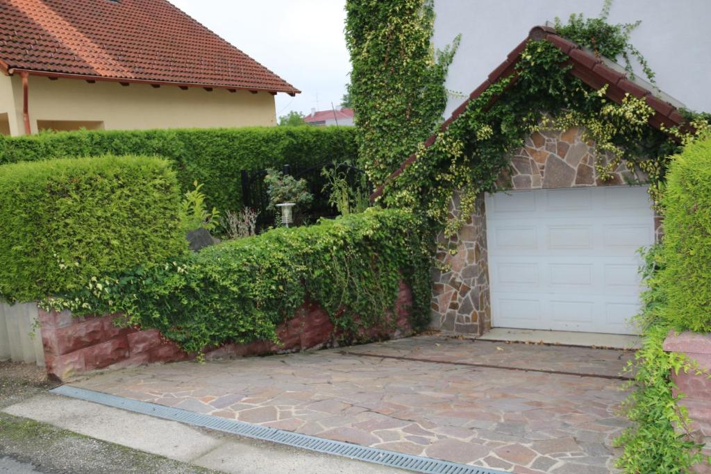 Zahrada ubytování Apartmán u Míši