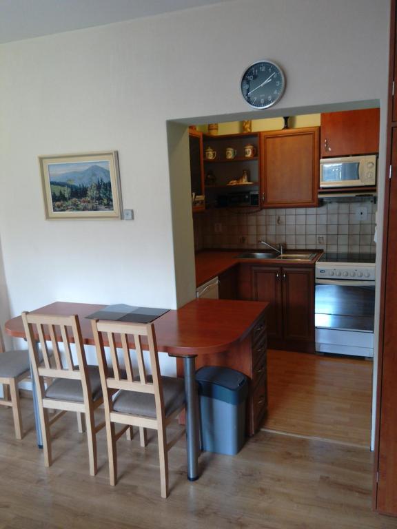 Kuchnia lub aneks kuchenny w obiekcie Apartmány pod Suchým Vrchem
