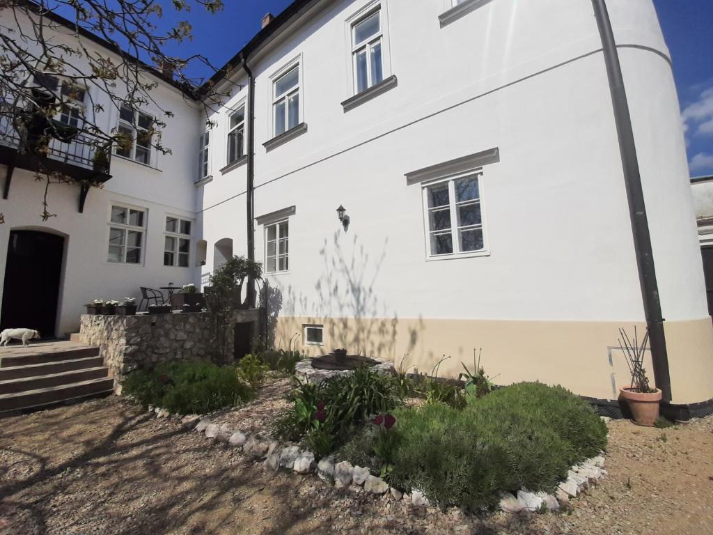 ein weißes Haus mit einem Garten davor in der Unterkunft Apartmány VIENNA in Mikulov