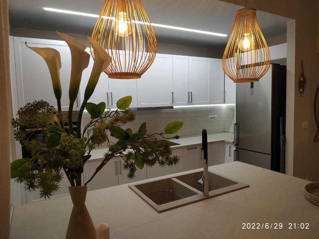 Christina Kos Boutique Apartments - テラス付きのアパート