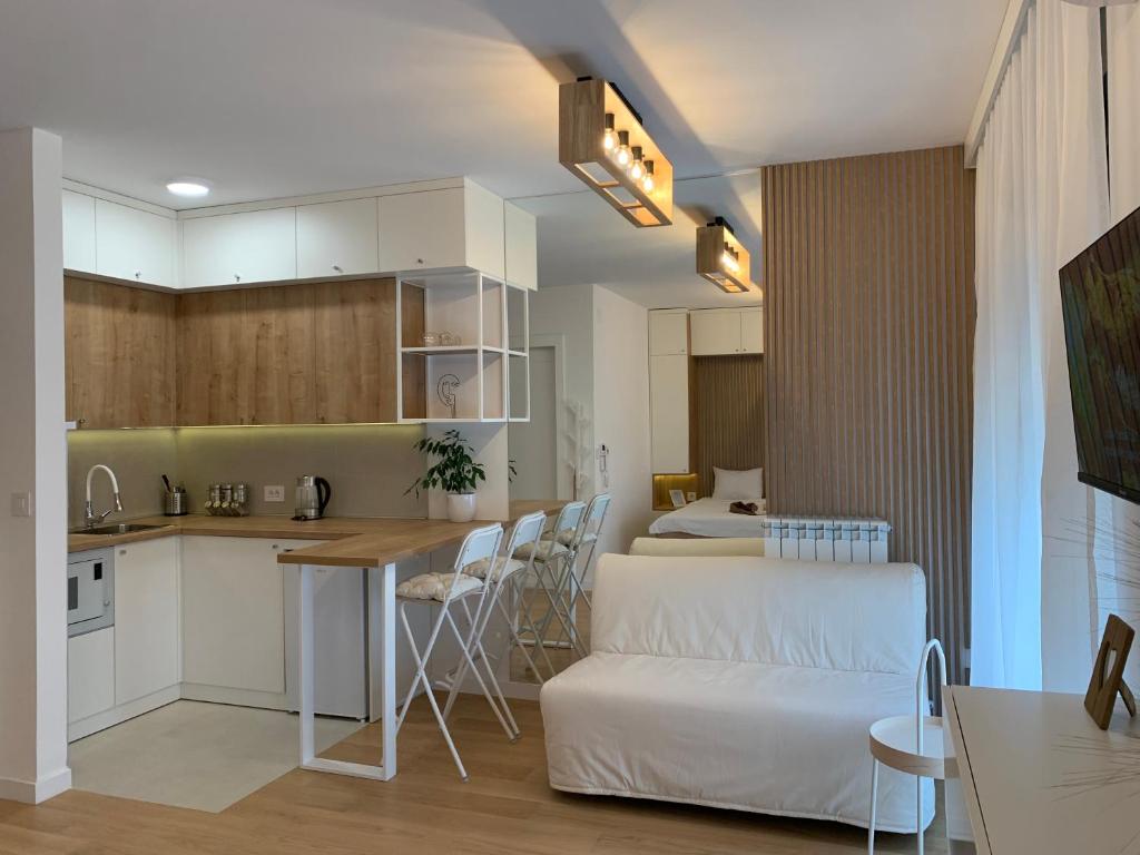 Kuchyň nebo kuchyňský kout v ubytování Selena apartment