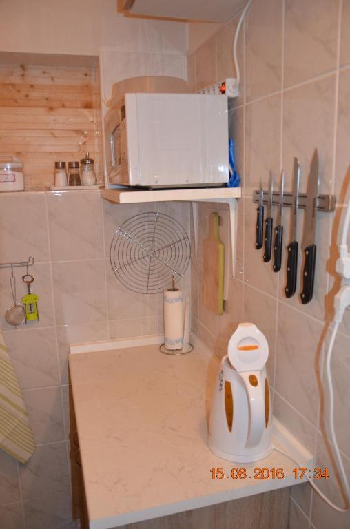 Kuchyň nebo kuchyňský kout v ubytování Pod palmou Gerlachov