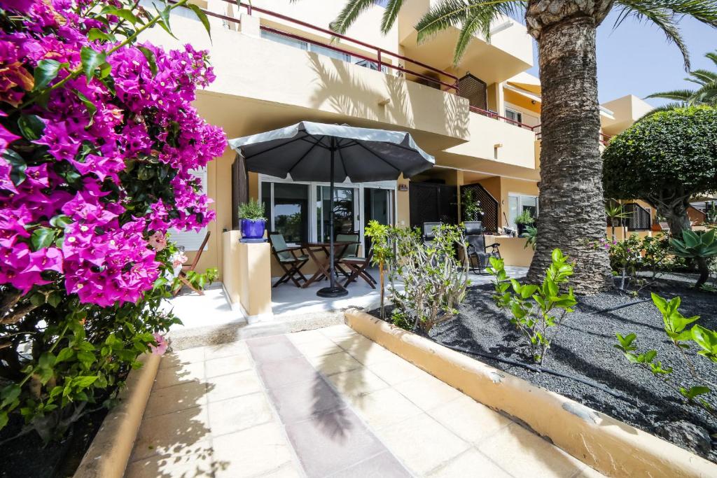 Vonkajšia záhrada v ubytovaní Apartment Apple Dunes with Pool Corralejo By Holidays Home