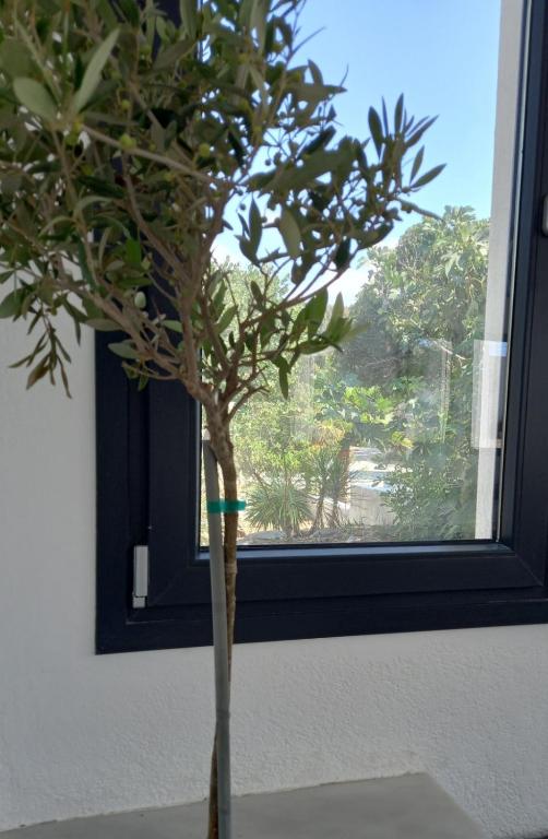 Balkón nebo terasa v ubytování Naxos green Village hotel
