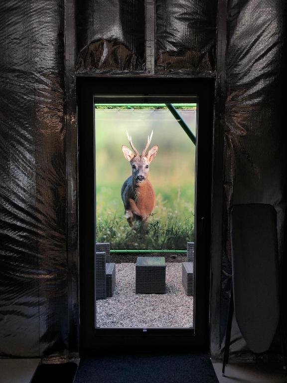 Fotografie z fotogalerie ubytování Hotel 49 v Ostravě
