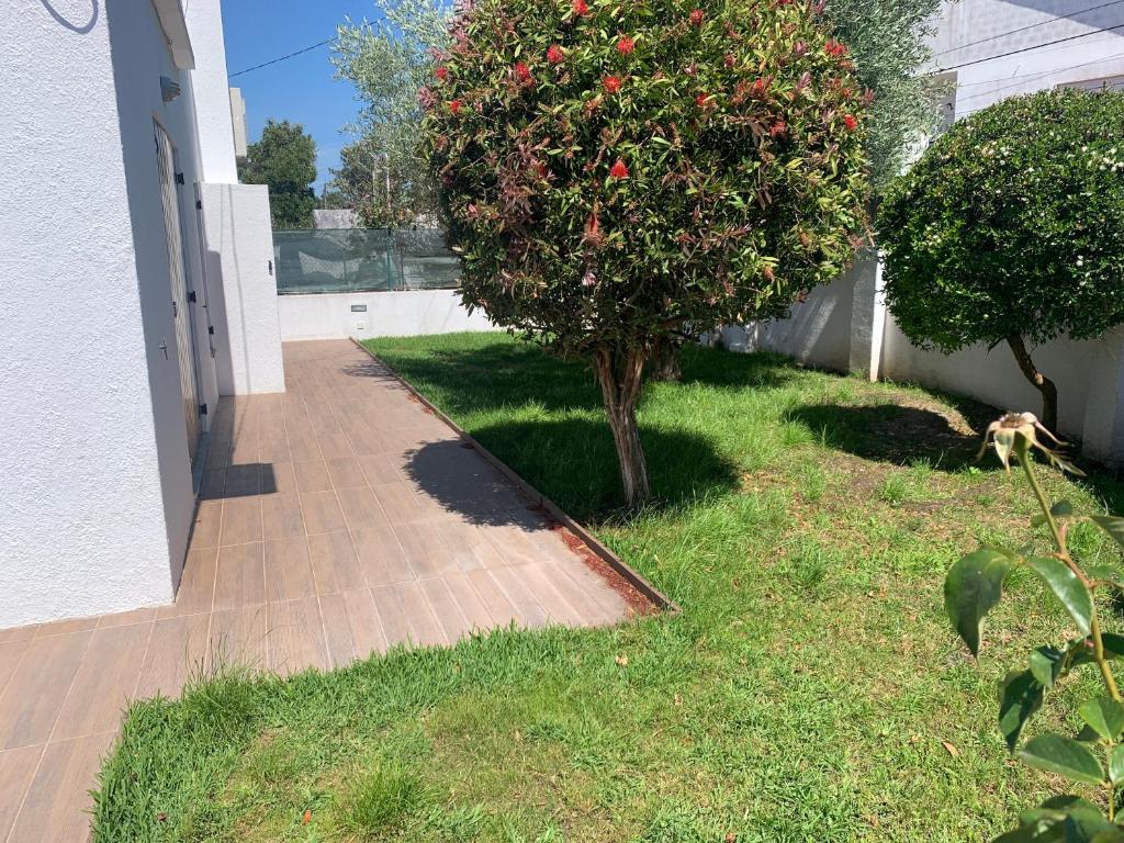 Ein Baum im Gras neben einem Haus in der Unterkunft Aroeira Beach House in Aroeira