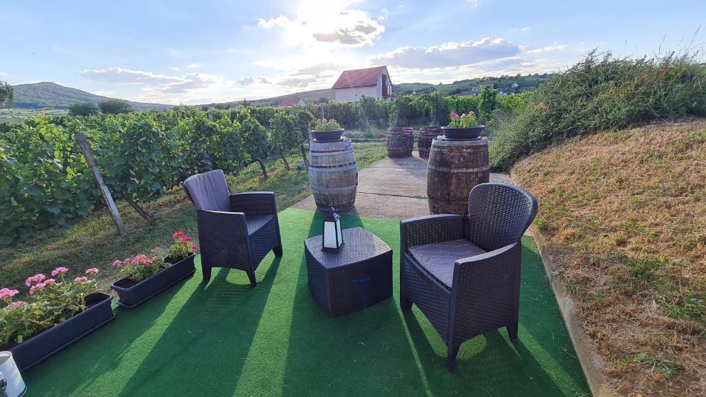 a group of chairs and a table on a patio at Lugas Apartman in Villány