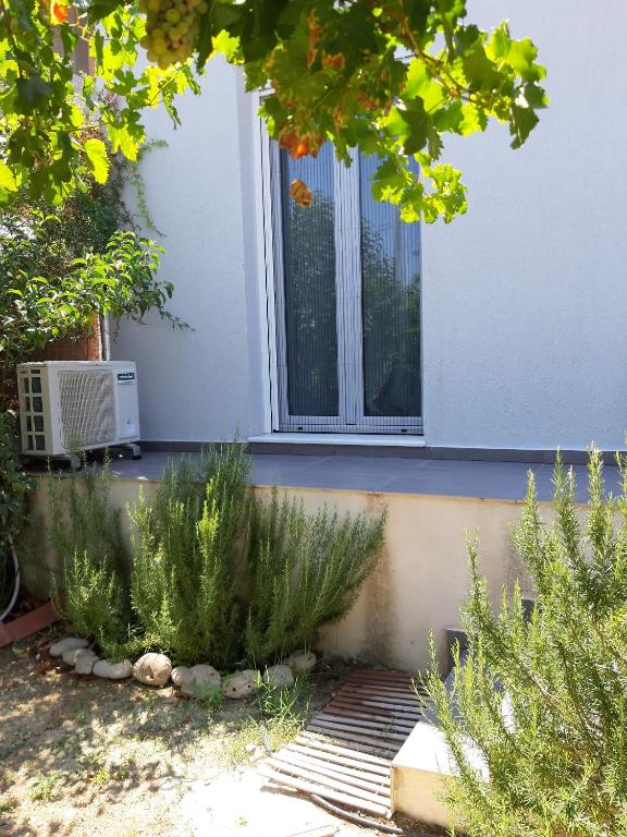Zahrada ubytování Eva's place
