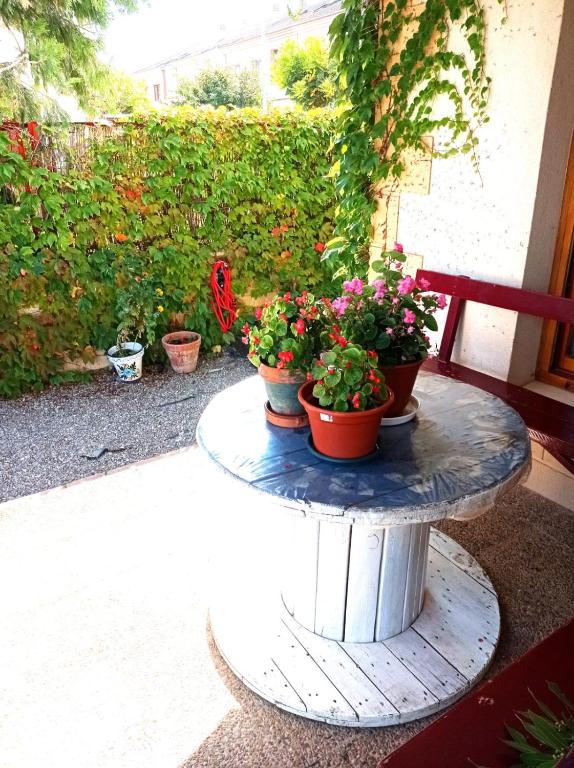A garden outside Casa de Antonio MURCHANTE