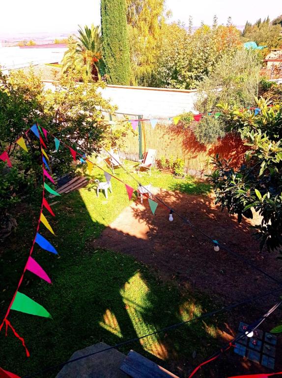 A garden outside Casa de Antonio MURCHANTE