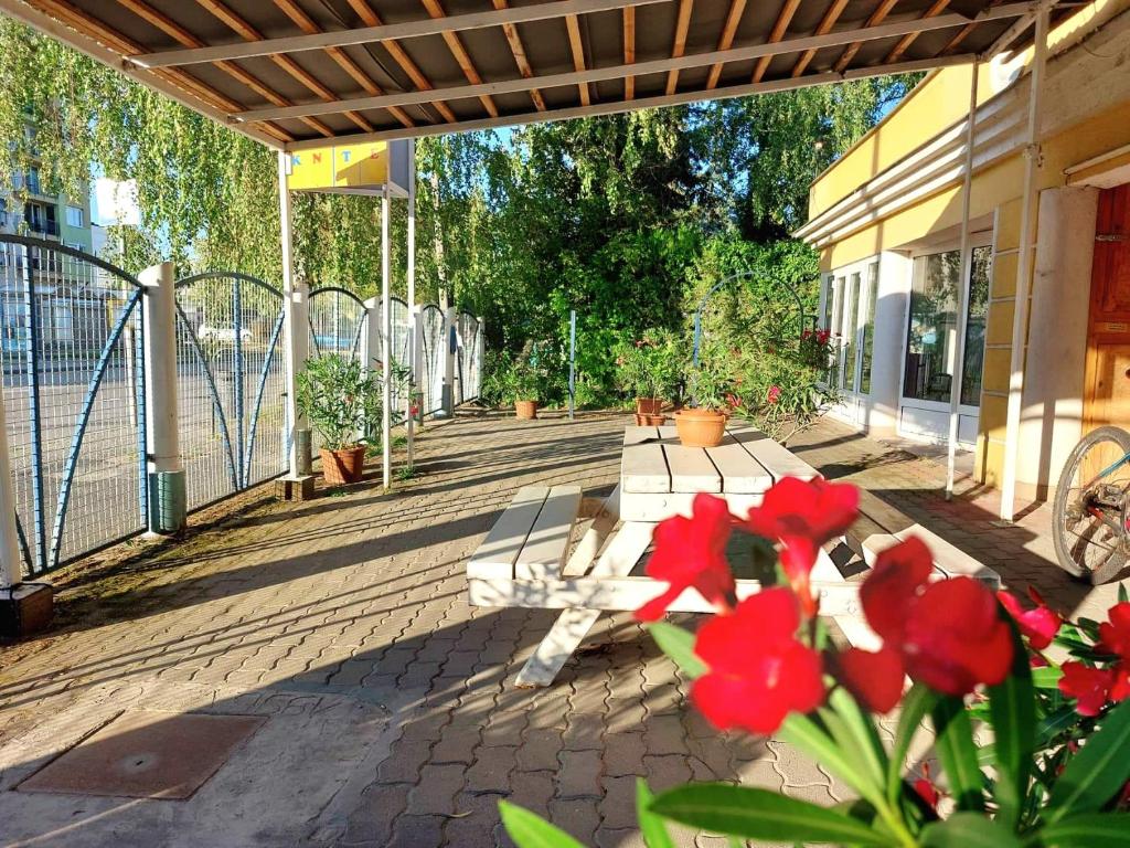 Zahrada ubytování Széplak apartman