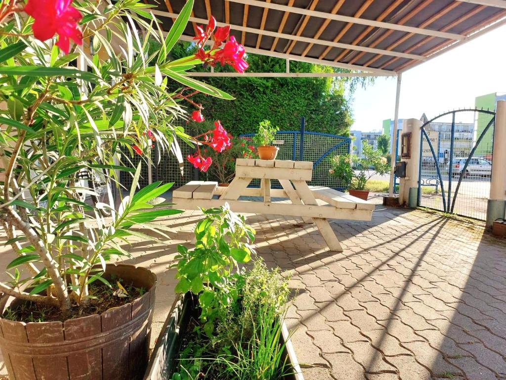 Zahrada ubytování Széplak apartman