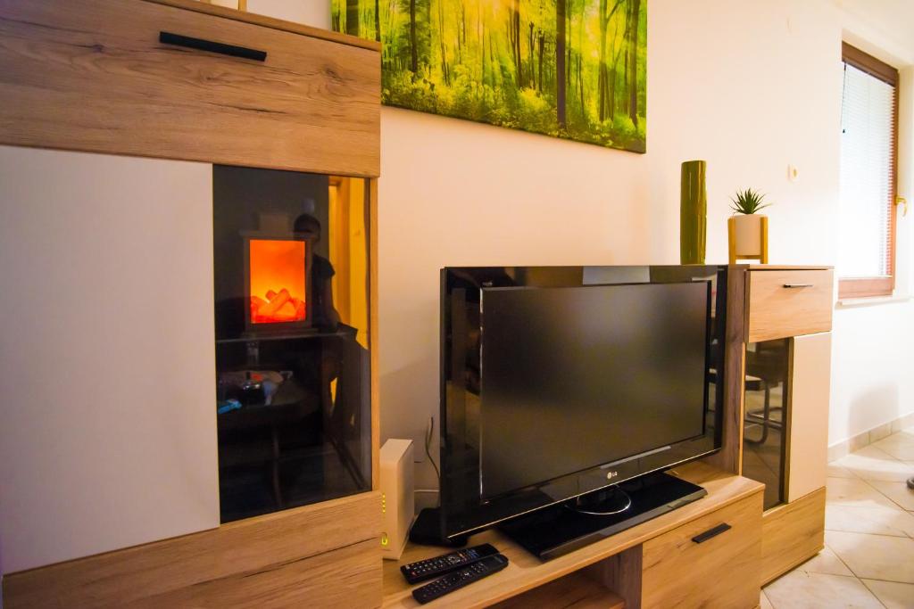 TV a/nebo společenská místnost v ubytování Apartment Veninsek