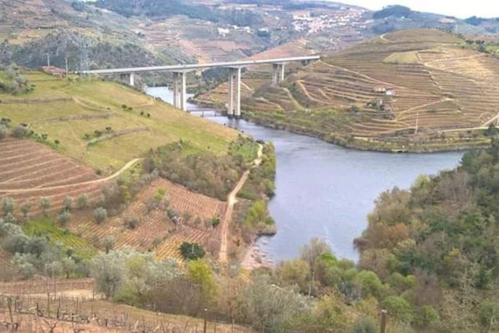 een brug over een rivier naast een veld bij Casa dos Copins in Lamego