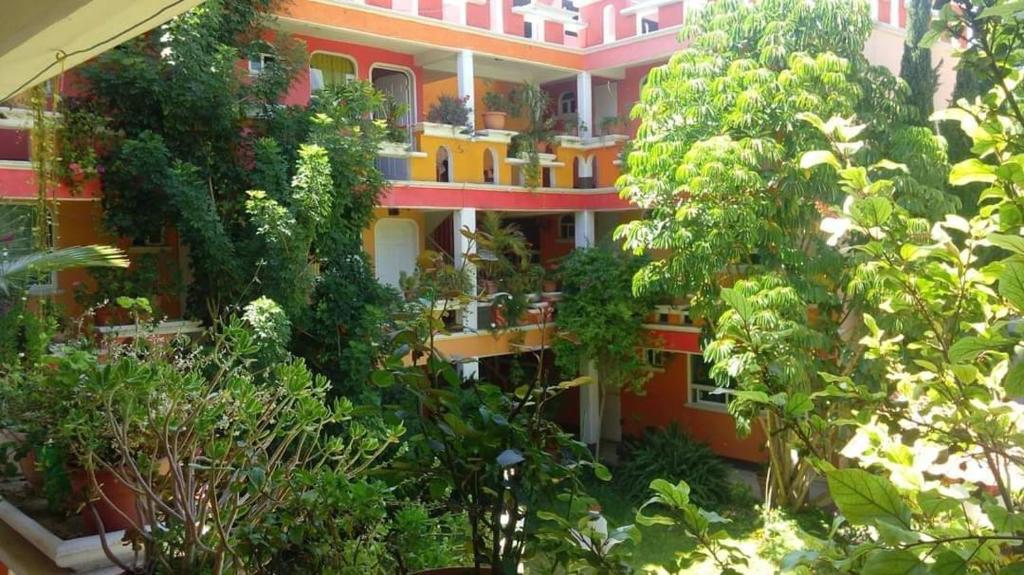 Zahrada ubytování Hotel Posada Tolteca