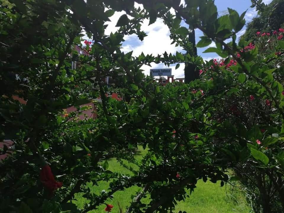 Zahrada ubytování Hotel Posada Tolteca