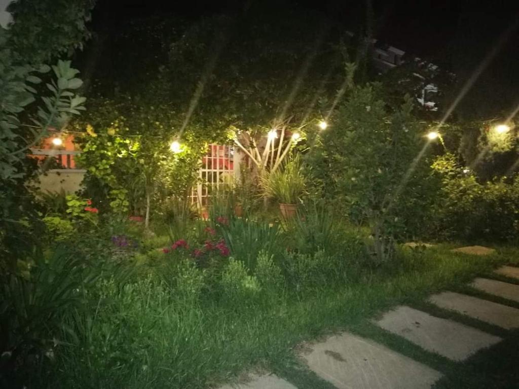 Zahrada ubytování Hotel Posada Tolteca