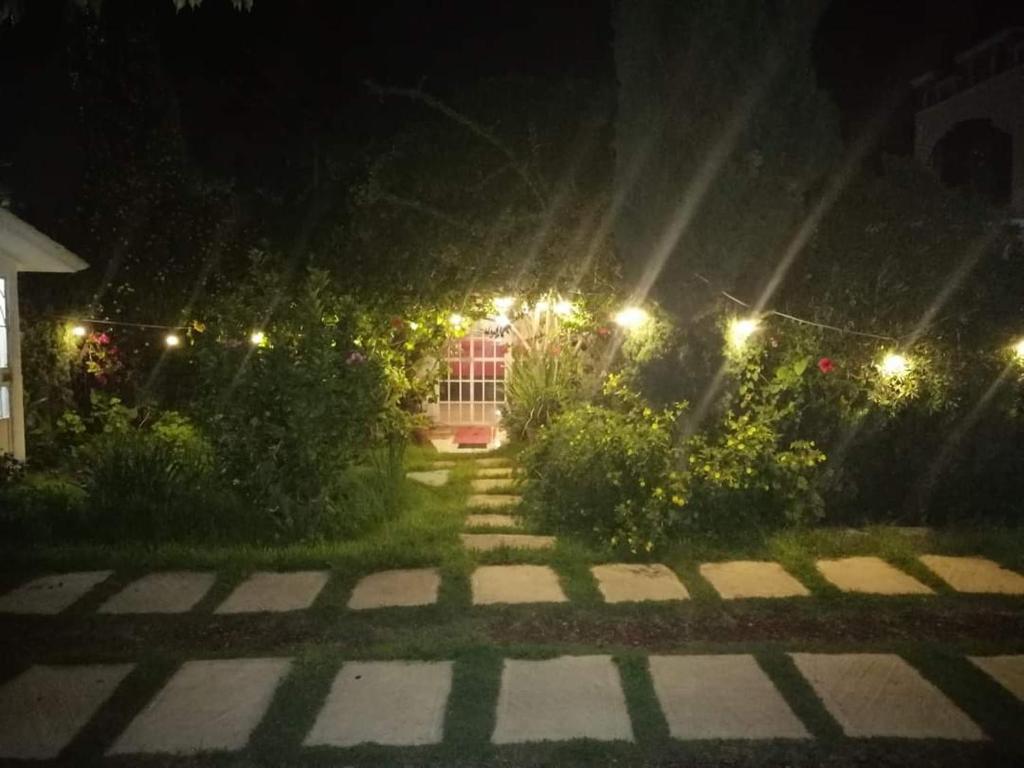 Zahrada ubytování Hotel Posada Tolteca