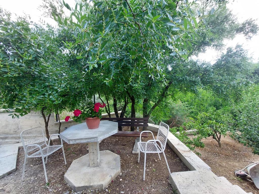 einen Tisch und Stühle unter einem Baum in der Unterkunft Apartments Ivana in Ulcinj