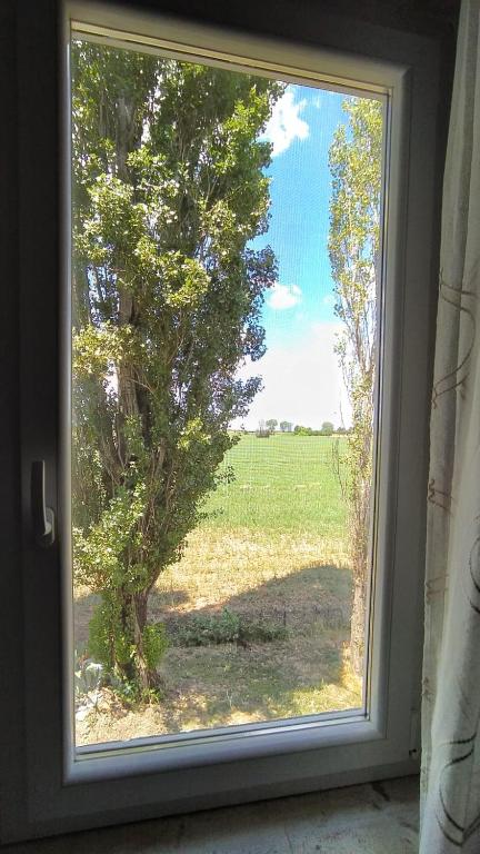 Zahrada ubytování Le Stanze di Matilde