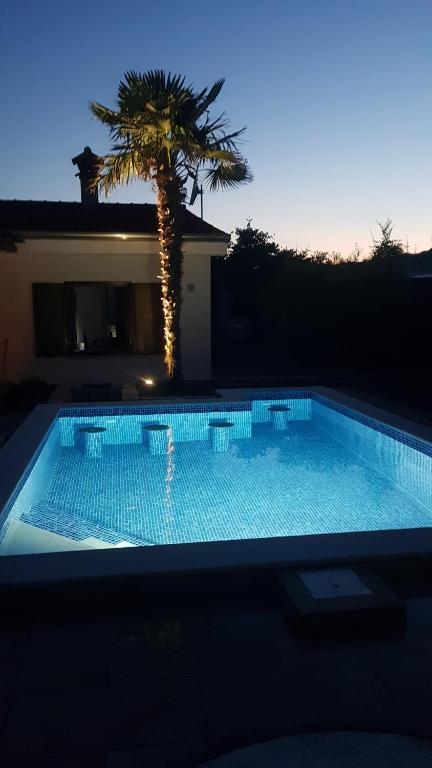 a large swimming pool with a palm tree in the background at apartman Babić in Krk