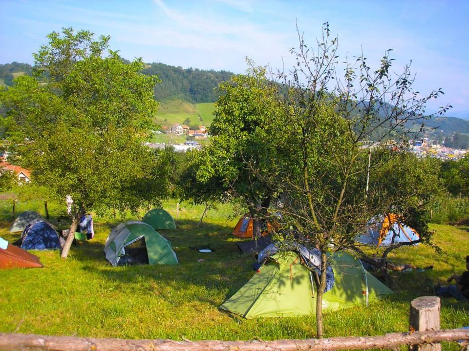 eine Gruppe von Zelten auf einem Feld mit einem Baum in der Unterkunft Camp Panorama in Guča