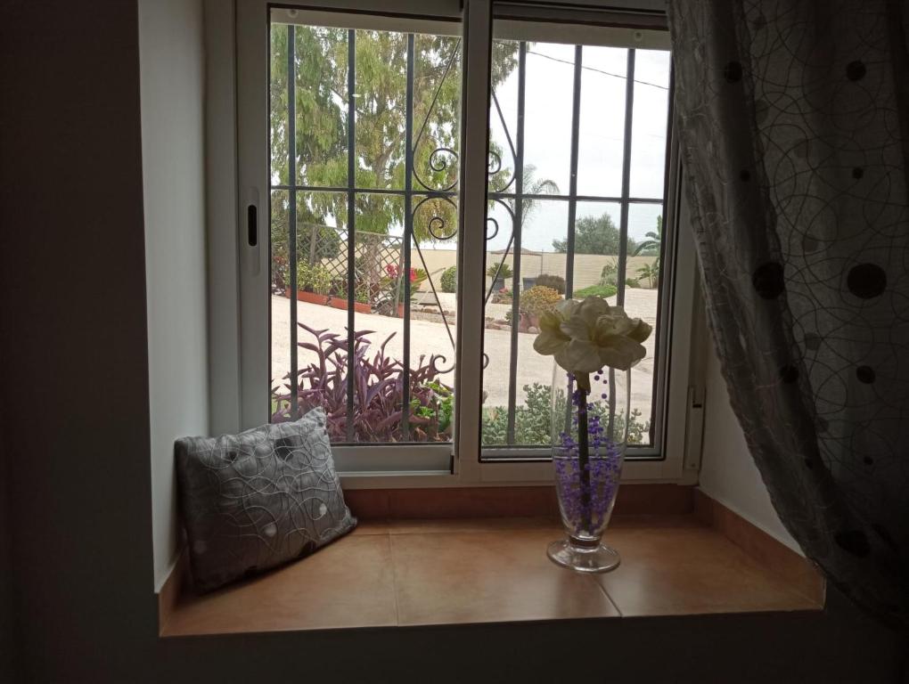 Ogród w obiekcie Home Benitez Pizarra