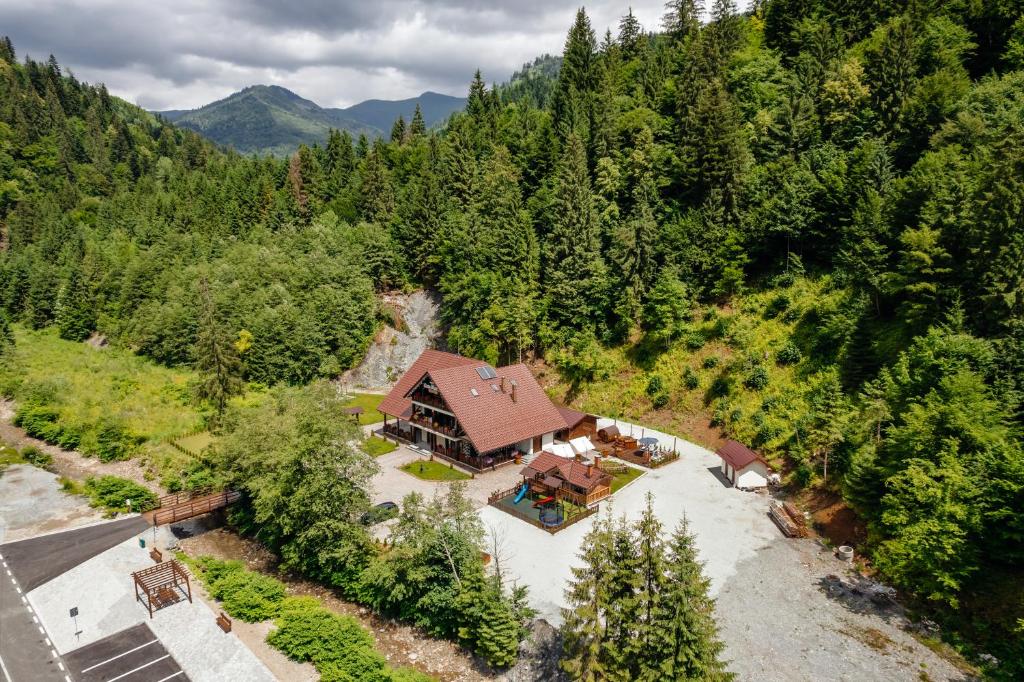 an overhead view of a house in a forest at Pensiunea Agroturistică Casa Maria in Rodna