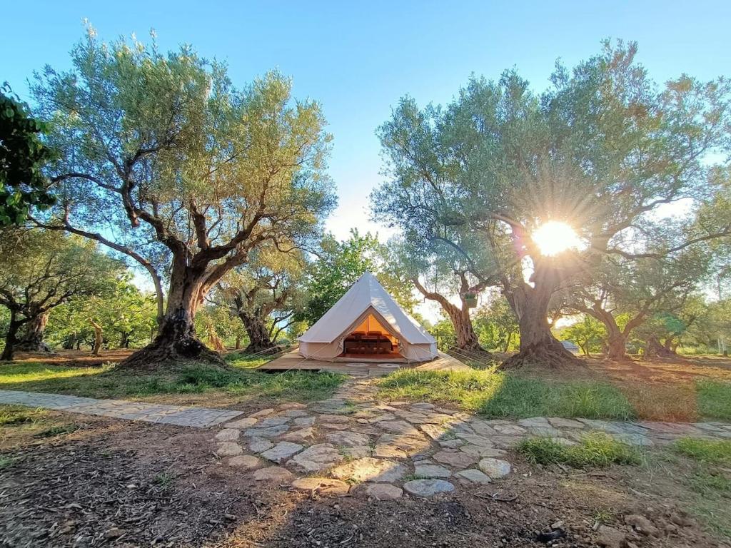 Příroda nedaleko luxury tent
