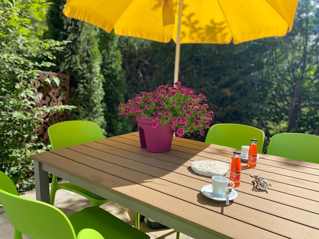 A garden outside Art Apart Nomay Summercard Blick Top of Salzburg