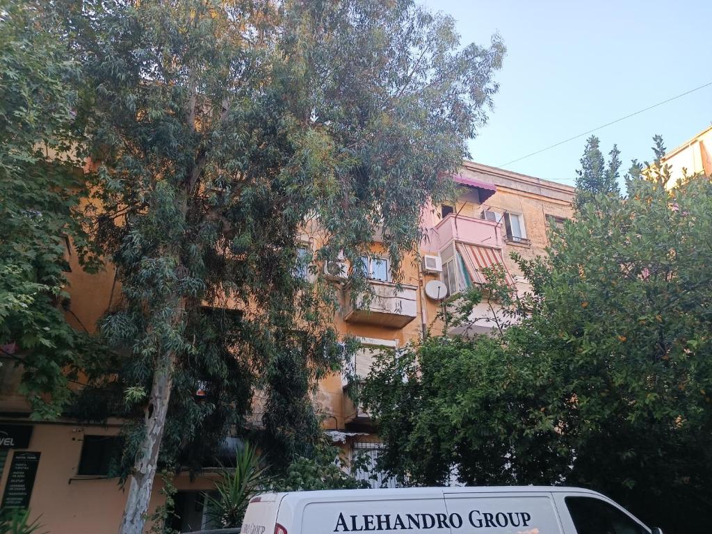 Tirana's Hidden Wonder - Imazhi 6