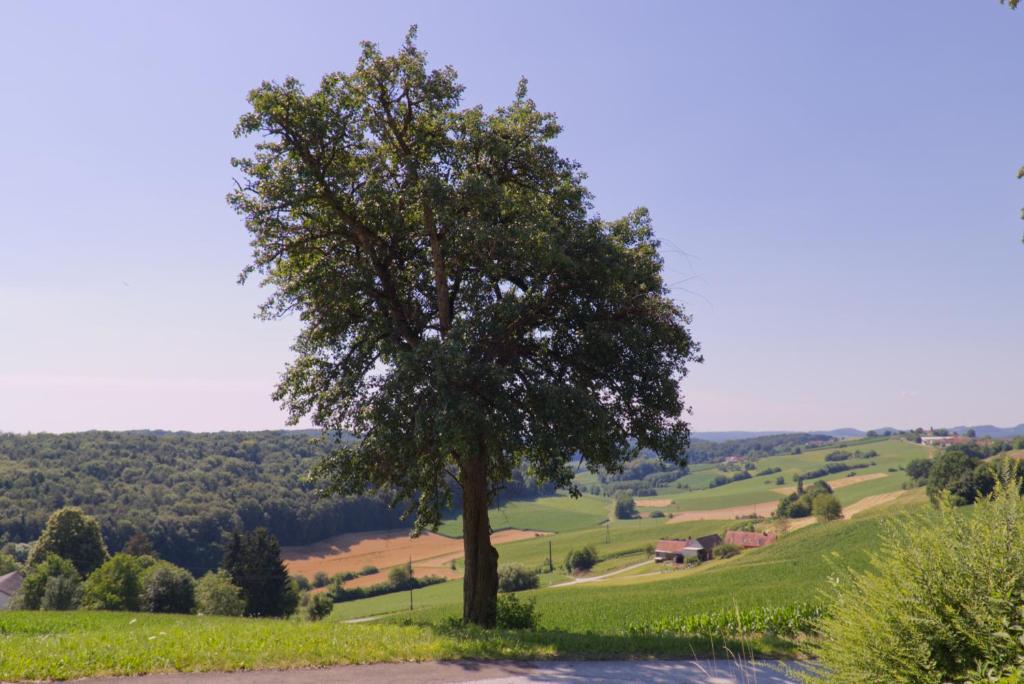 Příroda nedaleko apartmánu