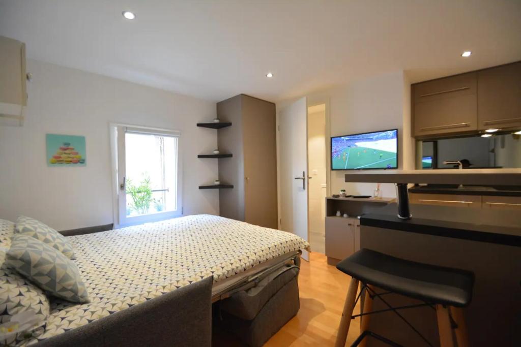 Televízia a/alebo spoločenská miestnosť v ubytovaní Studio Paquier Annecy hyper centre Old Town