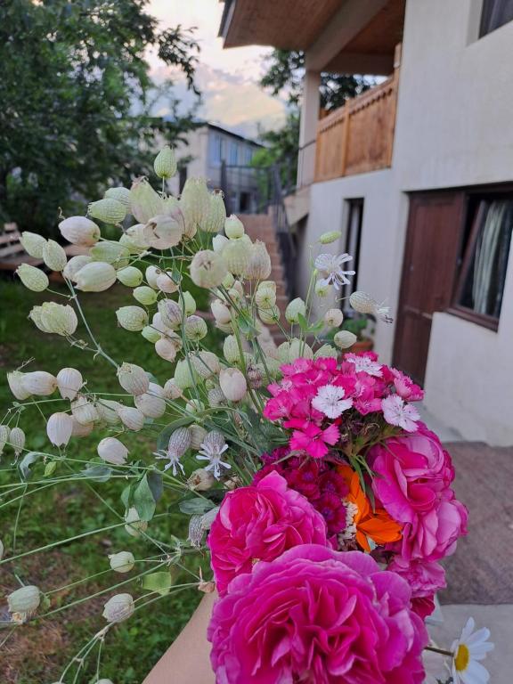 Zahrada ubytování Irina's Guesthouse