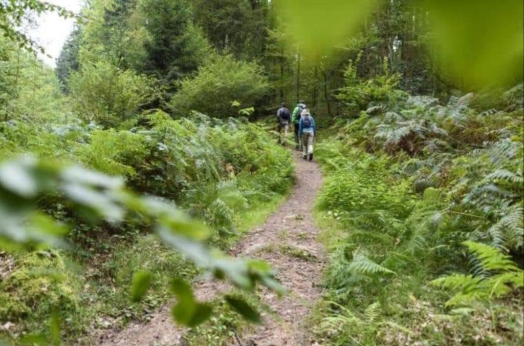 Hosté ubytování Geishöhe Landgasthof Rose Dammbach