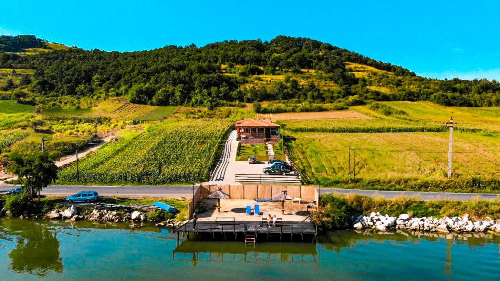 uma vista para um rio com uma casa numa colina em Villa Rustica em Gornea